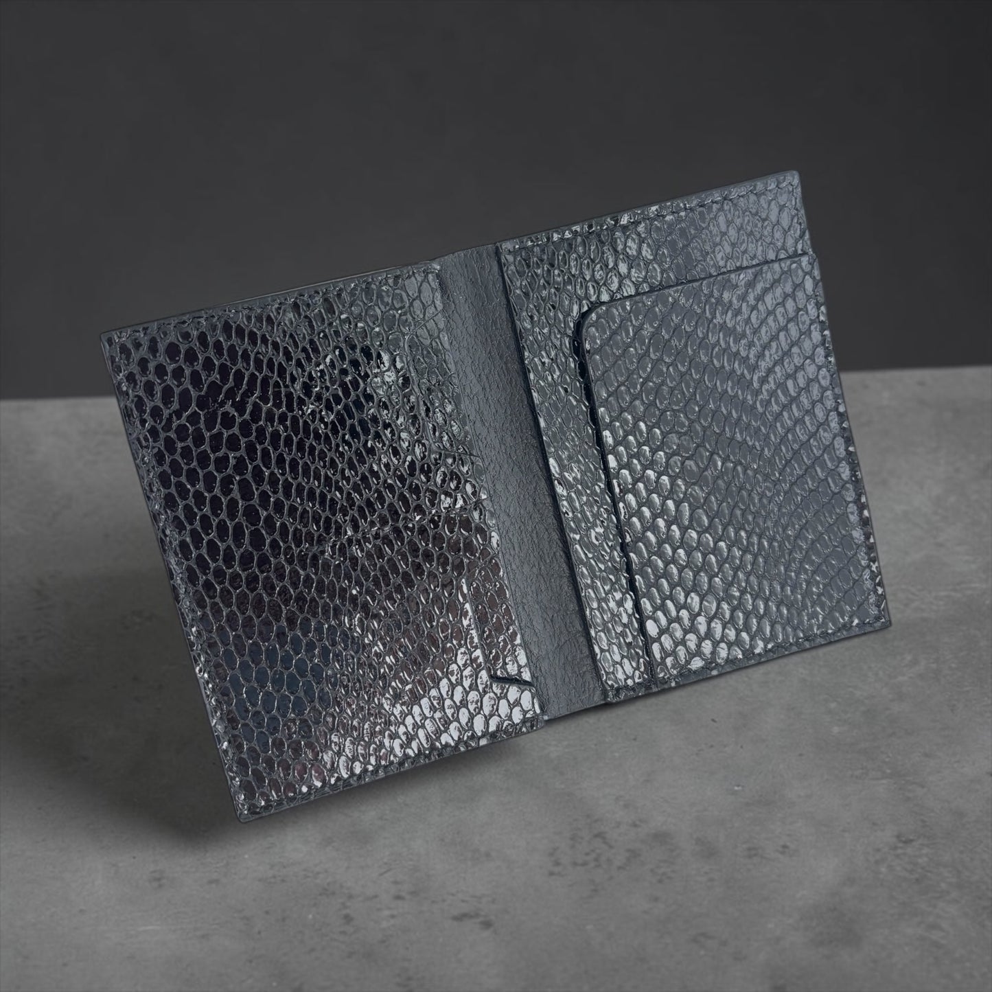 PASSPORT / CARD HOLDER